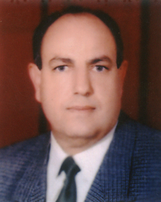 Mohamed Said Amin El-Sheshtawy